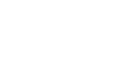 Rally Logistics Logo